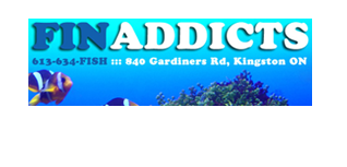 Fin Addicts